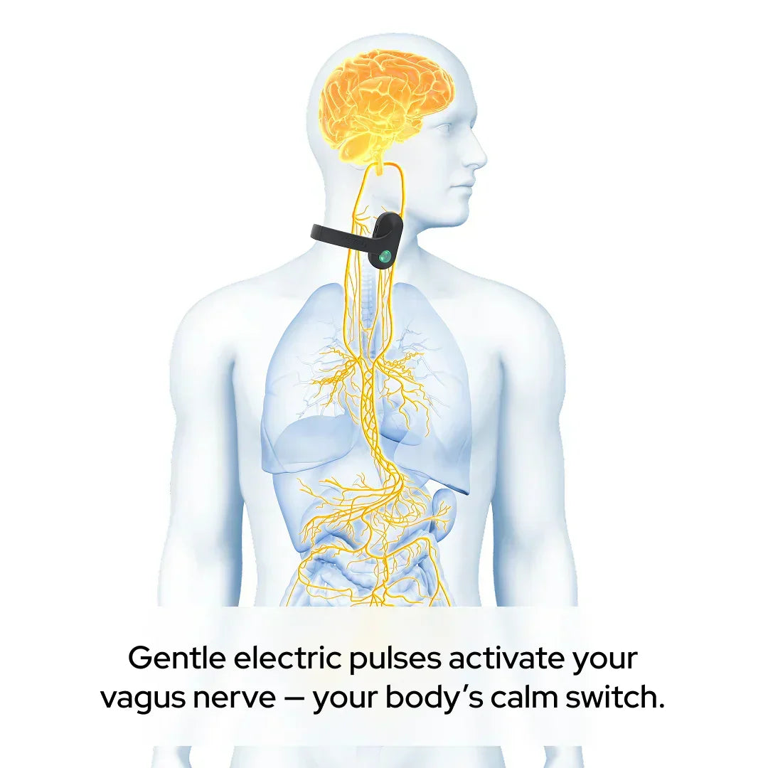 Pulsetto Vagus Nerve Stimulation Device For Calm And Sleep