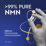 NMN 500mg Capsules