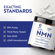 NMN 500mg Capsules